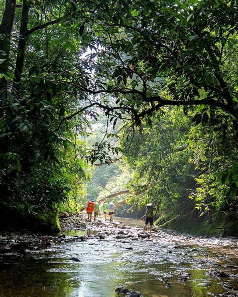 Five Day Jungle Trek Bukit Lawang Trekking Sumatra