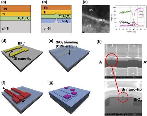 Cross Sectional Schematics Of A Planar Comparison And B Nano Tip