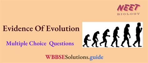 Neet Biology Evidence Of Evolution Multiple Choice Question And Answers