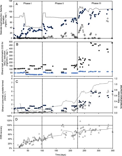 Performance Of The Sbr For Selenate Conversion At Hrt 24 H In Phase