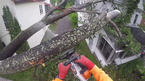 Dangerous Tree Removal On House Youtube