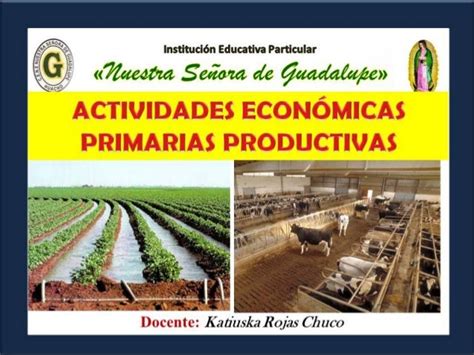 Actividades Económicas Primarias Productivas