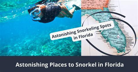 Best Snorkeling Spots In Florida 19 Places You Can T Miss