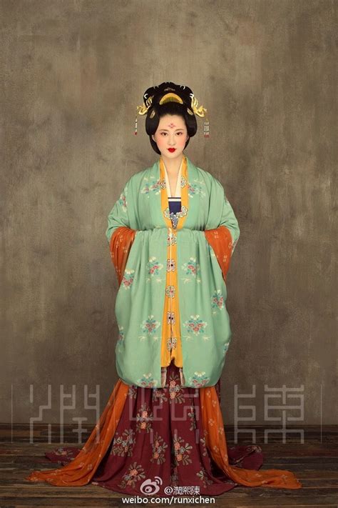 Tang Daxiushan Chinese Traditional Costume Hanfu Traditional Outfits