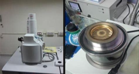 Scanning electron microscope. | Download Scientific Diagram