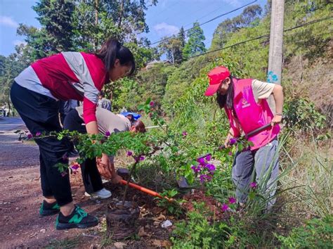 大理巍山马鞍山乡：“党旗红”引领“生态绿”，植树增绿护青山isenlincn