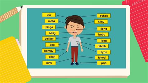 bahagi ng katawan quiz