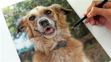 Tutorial De Como Desenhar Um Cachorro Realista Youtube