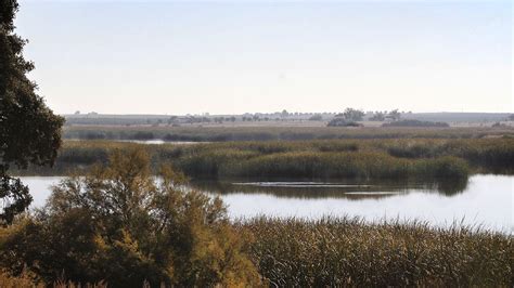 32 Años Después ¿sigue La Sobreexplotación En El Acuífero 23 Lanza