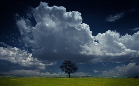 nature, Landscape, Trees, Sky, Clouds Wallpapers HD / Desktop and ...