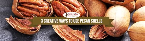 3 Creative Ways To Use Pecan Shells