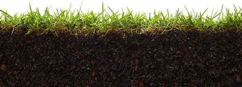 soil problems solved