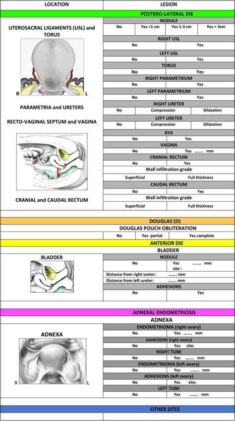 Ultrasound Mapping System For The Surgical Management Of Deep