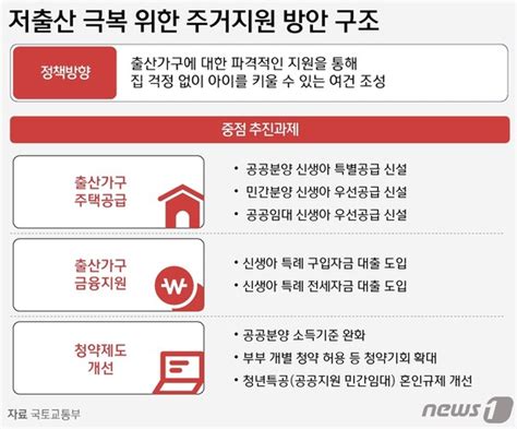 그래픽 저출산 극복 위한 주거지원 방안 구조 뉴스1