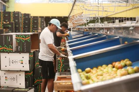 Garro visitó el cordón frutihortícola de La Plata el más grande de