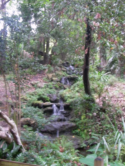 The "Unknown" Florida: Rainbow Springs - Dunnellon, FL