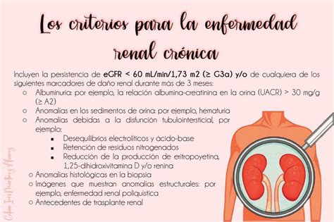 Los Criterios Para La Enfermedad Renal Cr Nica Celina Martinez Udocz