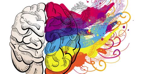 Which Side Of Your Brain Is Most Dominant According To Colors