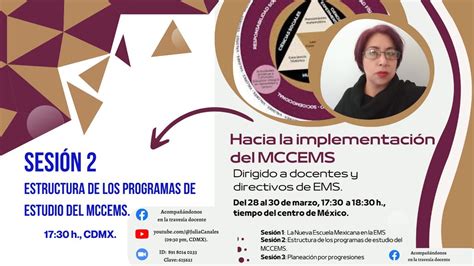 Hacia la implementación del MCCEMS Sesión 2 Estructura de los