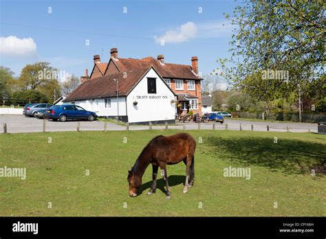 Minstead village green and pony, Trusty Servant inn/pub in background ...