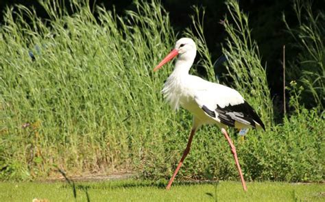 Sehensw Rdigkeiten In Oldenburg Lieblingsorte