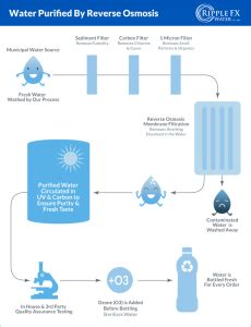 Purified Water Process - Ripple FX Water