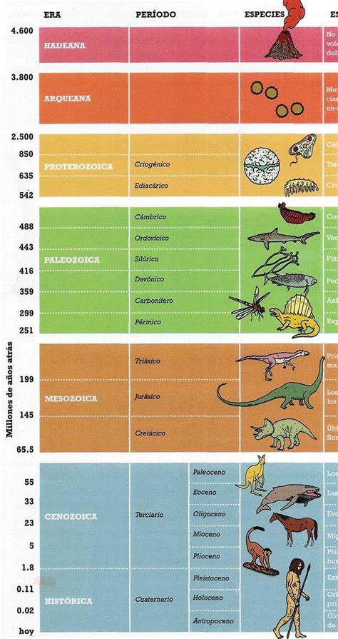 Consepto De Las Eras Geol Gicas Brainly Lat