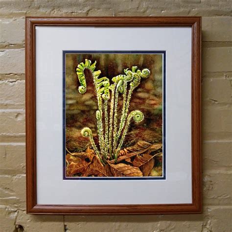 Fiddlehead Fern Watercolor Painting By Robin Maxon Etsy