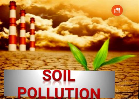 SOLUTION Soil Pollution Studypool