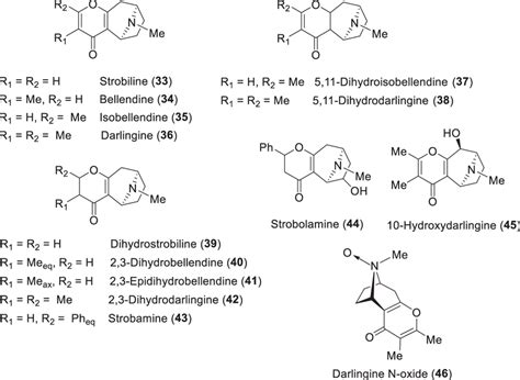 Cyclohepta B Pyran Scaffold In Tropane Alkaloids Download Scientific