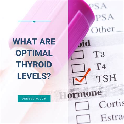 Normal Tsh Levels Healthy Levels Vs Abnormal Levels More 51 Off