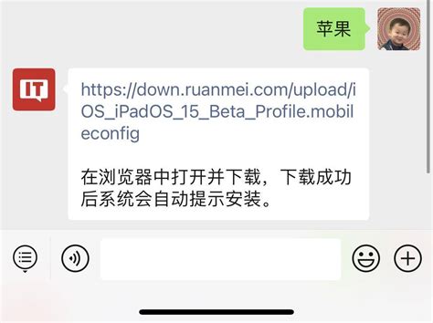 苹果 Ios Ipados15 开发者预览beta推送（附描述文件下载） App