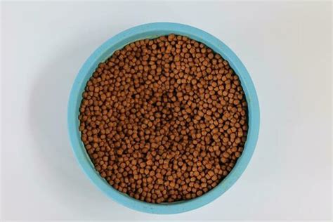 Pellets Fish Stock Photos, Images and Backgrounds for Free Download