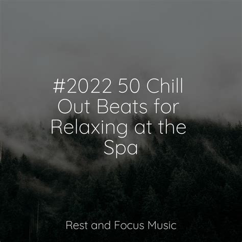 Chill Out Beats For Relaxing At The Spa Album By The Sleep