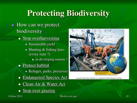 Ppt Biodiversity Who Cares Powerpoint Presentation Free Download