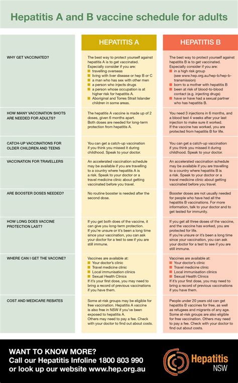 Hepatitis A and B vaccine schedule for adults