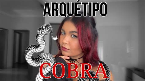 Arqu Tipo Da Cobra Tudo O Que Voc Precisa Saber Youtube