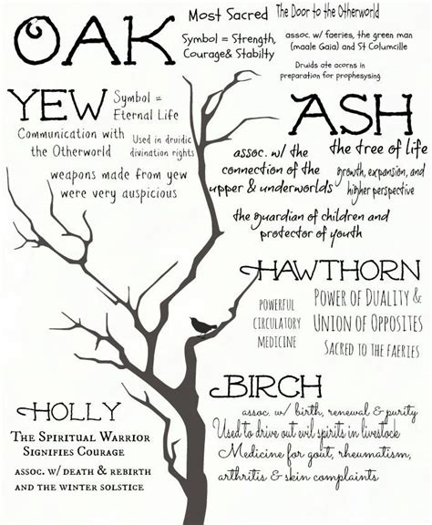 Trees And There Magical Properties Spells Witchcraft Witchcraft Witch