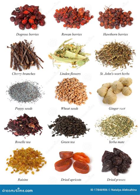 Set From Dried Herbs Berries And Seeds Stock Photo Image 17846906