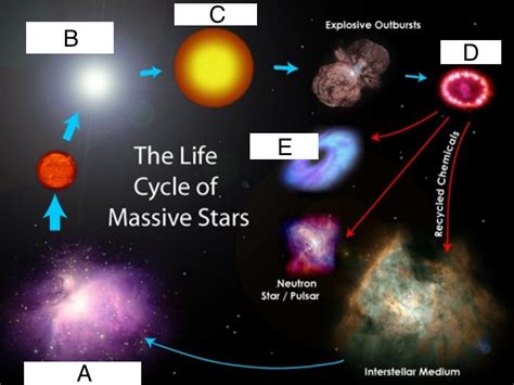 Life Cycle Of High Mass Stars Diagram Quizlet