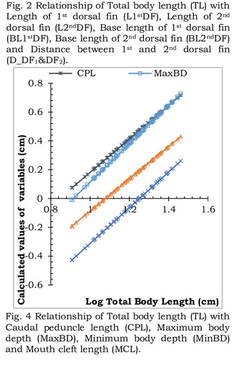 Relationship Of Total Body Length Tl With Standard Length Sl Fork Download Scientific