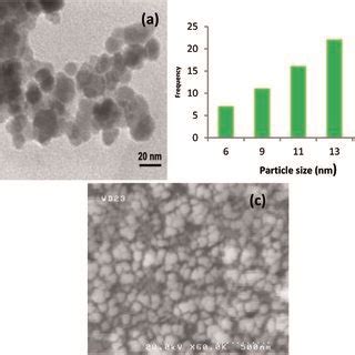 A Tem Image Of Cu Isatin Schiff Base Fe O And B Particle Size