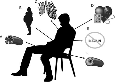 Schematic Depicting The Effect Of Sedentary Behavior Sb On