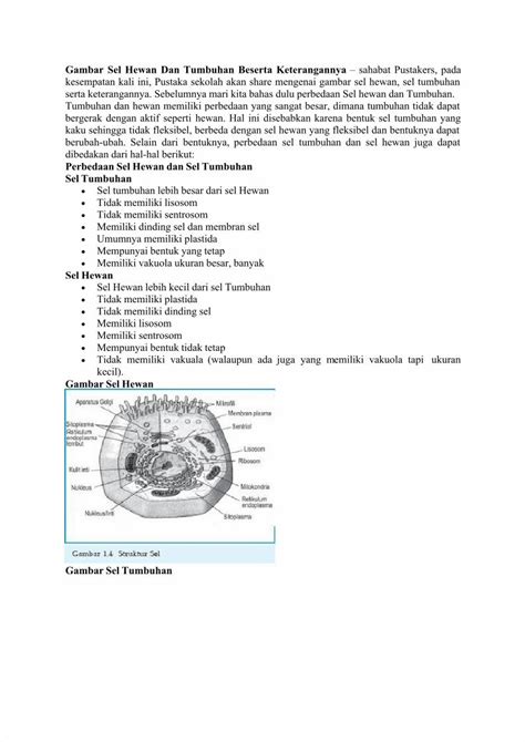 PDF Gambar Sel Hewan Dan Tumbuhan Beserta Keterangannya DOKUMEN TIPS