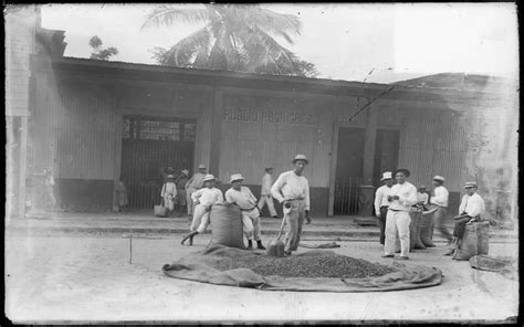 Una Breve Historia Sobre El Cacao En Ecuador Revista Mundo Diners