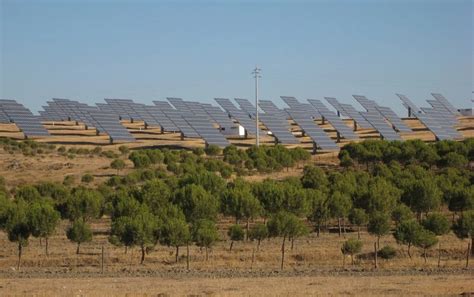 Audax Renovables Signs PPA For 46 MW Solar Project In Portugal Solar