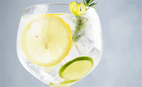 Aprende Qu Es El Gin Tonic Y Disfruta De La Mezcla Perfecta Gu A