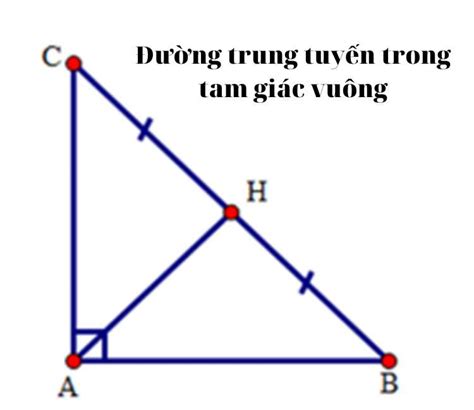 Hướng dẫn cách vẽ đường trung tuyến trong tam giác vuông đơn giản và dễ