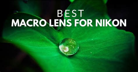 Best Macro Lens For Nikon In 2021 - Schubert Photography