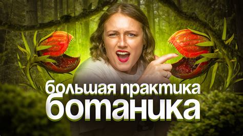 Ботаника. Большая практика | ЕГЭ-2025 по биологии - YouTube